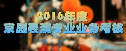 操北京骚妇国家京剧院2016年度京剧表演专业业务考...
